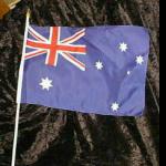10x Flagge Australien Papierfahne 12x24cm