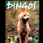 DVD Dingo Australien Freund oder Feind