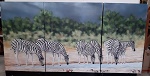 XL handgemalt Bild Afrika Zebra am Wasser