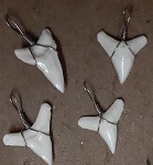 Haifisch Zahn mit Aufhnger 1-2cm