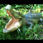 Krokodil  fr den Gartenteich  40cm