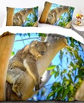 Bettwsche Koala 135x200 