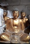 20x golden Buddha 25cm Poly.