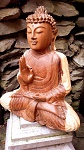 Buddha aus Suar Holz feine Handarbeit 31cm
