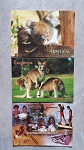 3x Postkarten Tiere Kinder Australiens