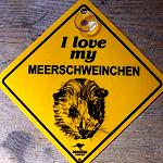 Schild  -  I love my MEERschweinchen -