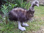 Emu Stofftier 35cm 