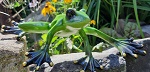 lssig Frosch Wandkletterer 30cm 
