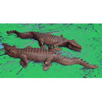 Krokodil Teak 65 cm