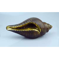 Muschel Schnecke Bronze 23 cm